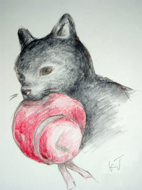 neko-to-bousi.gif